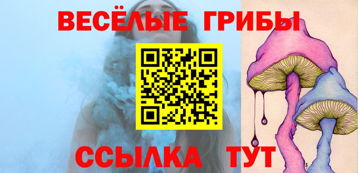 Псилоцибиновые грибы Psilocybine cubensis Михайловск